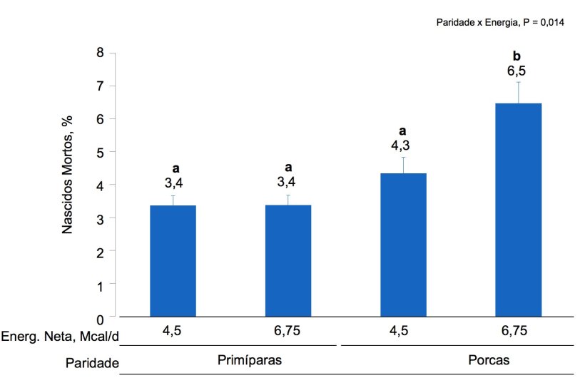 Figura 2. Efeitos da alimentação com diferentes níveis de energia fornecidos, do dia 90 ao dia 111 da gestação, na taxa de nascidos mortos de primíparas e porcas. As médias com um super-índice diferente dentro do nível de paridade são diferentes (P <0,05).